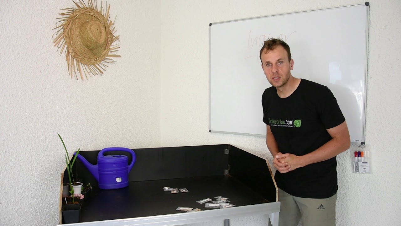 Affenbrotbaum und Palmen Vorschau – Was sind die nächsten Themen? – Palmen #8 // Gartenschlau.com