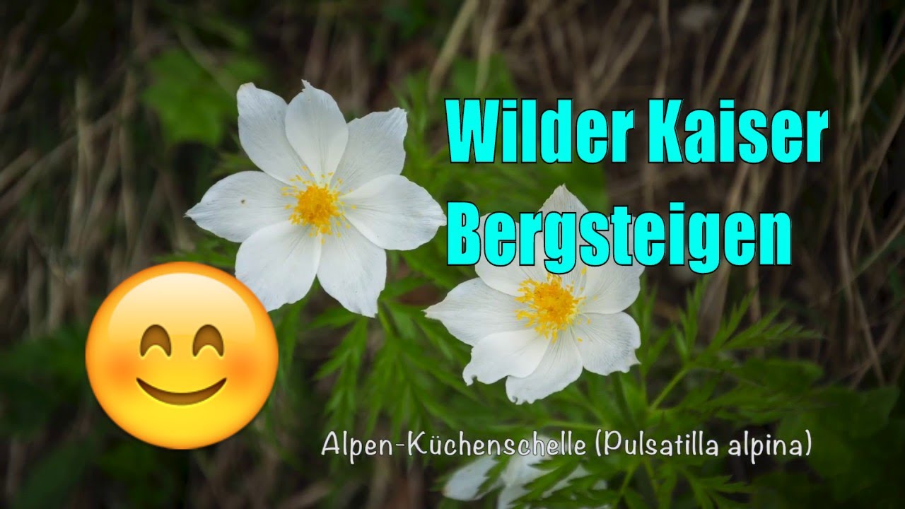 Wilder Kaiser – Tag 1 – Aufstieg zum Stripsenjoch Haus // Gartenschlau.com