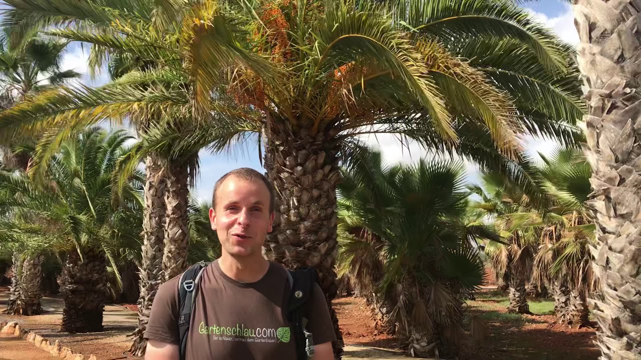Botanicactus – Wie im Paradies der botanische Garten auf Mallorca // Gartenschlau.com