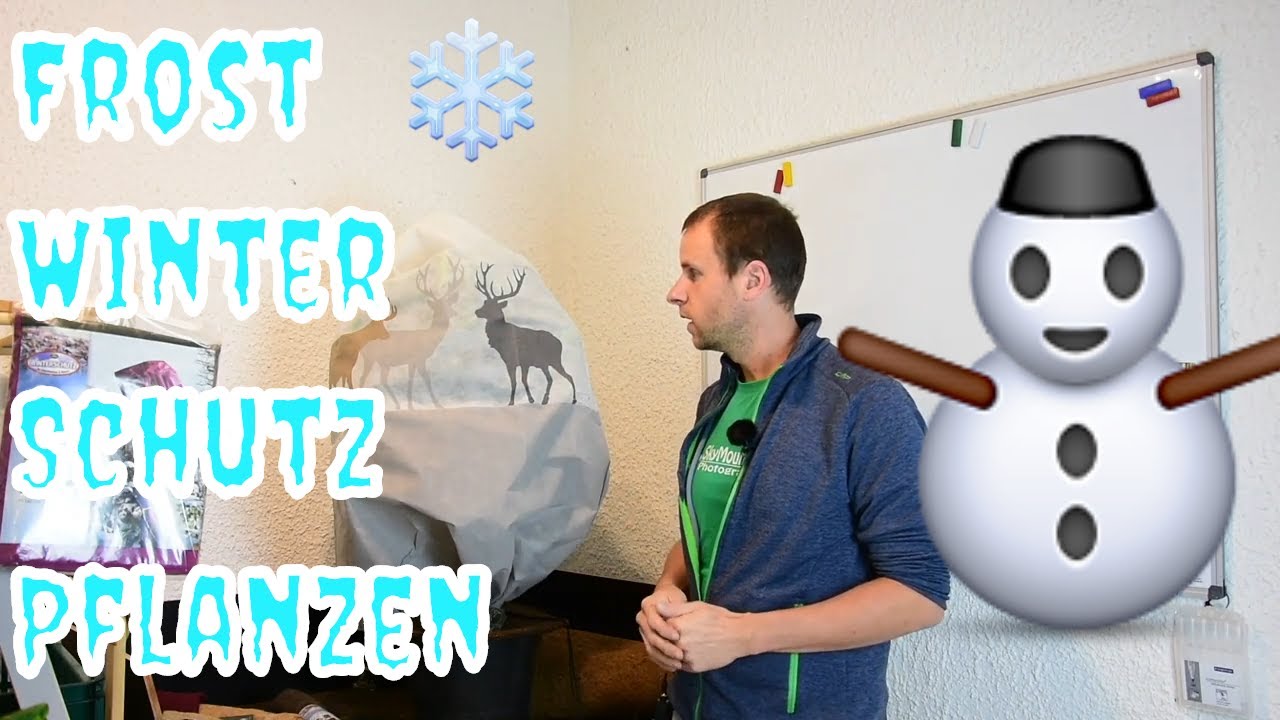 Pflanzen Winterfest Machen, Winterschutz Für Pflanzen, Frost Schutz Garten // Gartenschlau.com