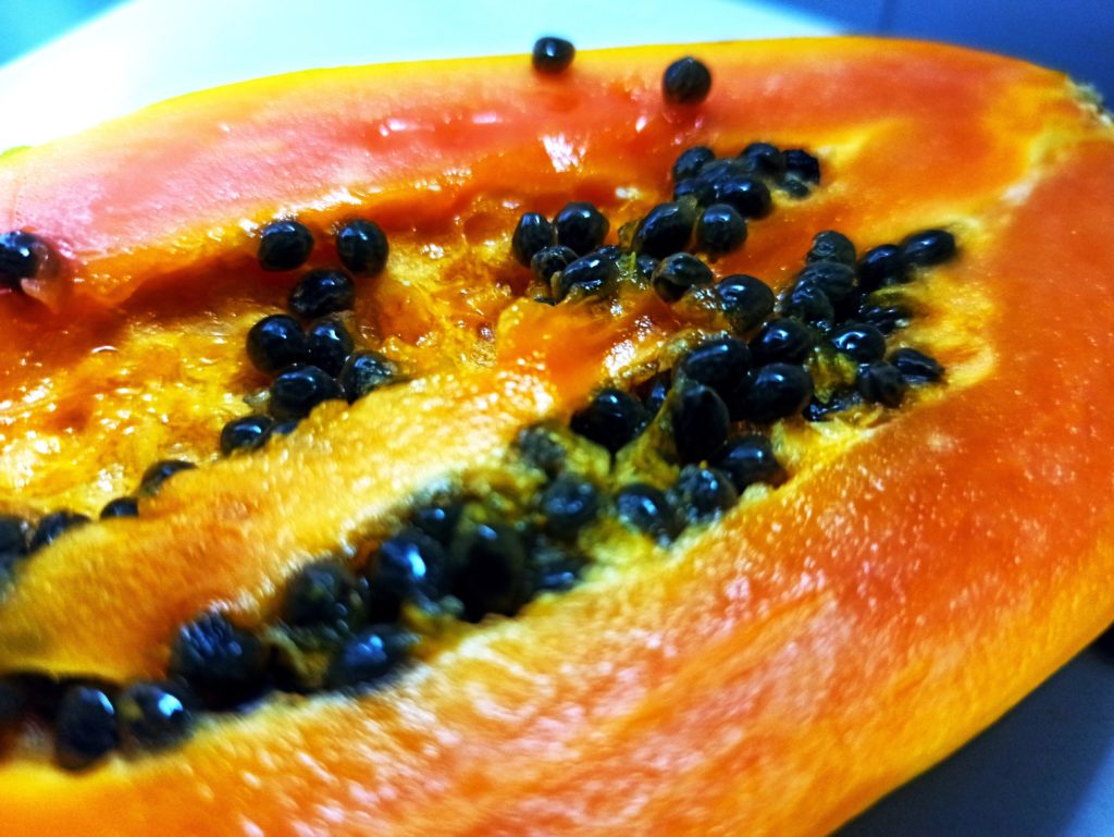 Papaya Aussaat ganz einfach