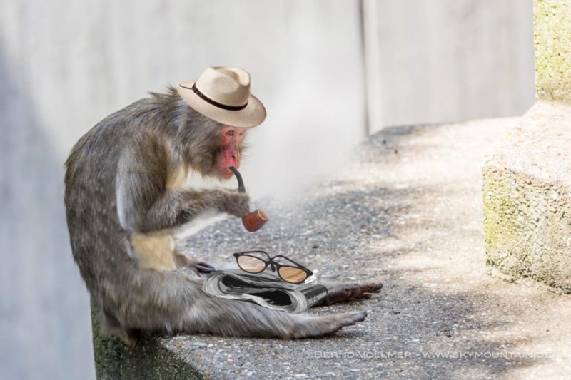 10525393 10202444511050242 4319422116173433269 o 1024x682