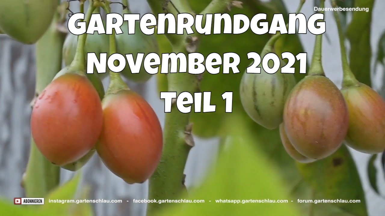 Gartenrundgang Teil 1 Im November Kurz Vor Den Kalten Nächten // Gartenschlau.com