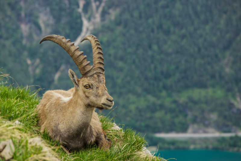 15377200530 3c561733df o