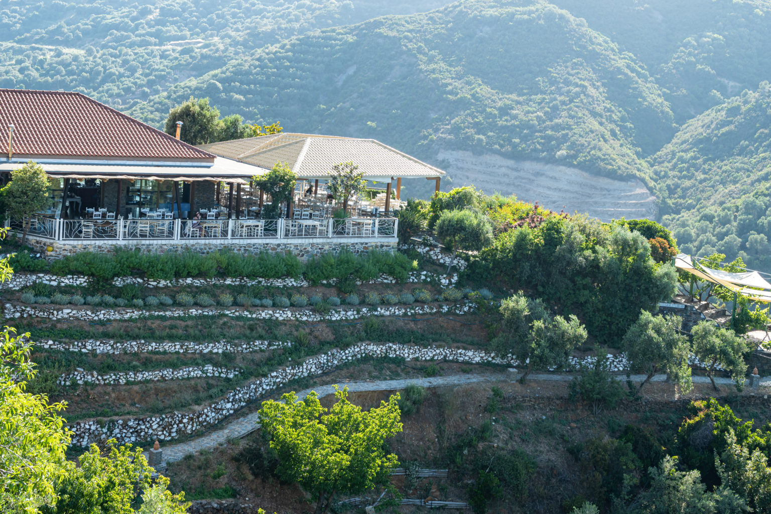 Botanischer Garten Kreta: Paradies für Pflanzenliebhaber