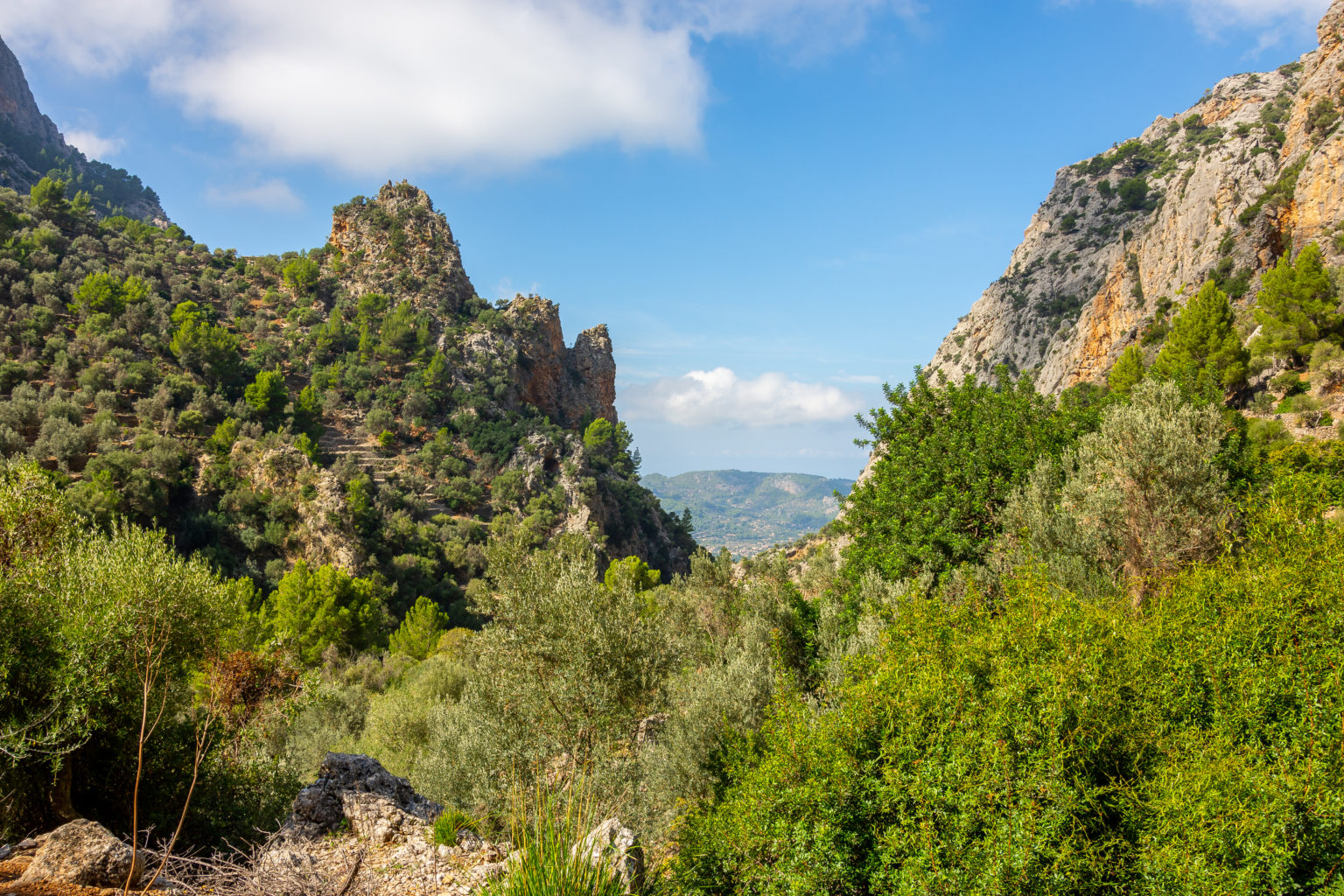 Tramuntana Gebirge Mallorca: Pflanzen & Wandern im UNESCO-Erbe
