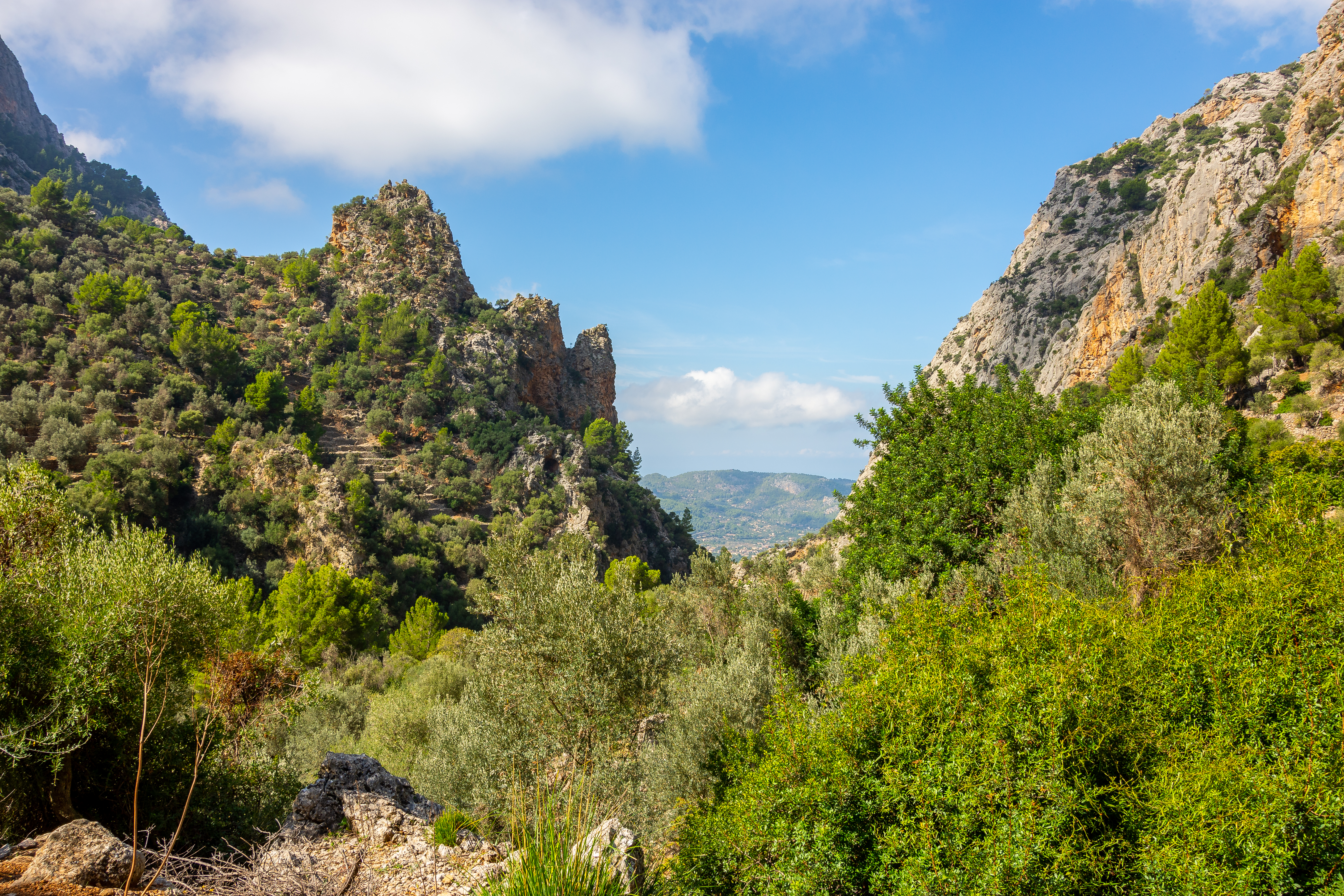 Das Tramuntana-Gebirge: Ein Naturparadies im Norden Mallorcas