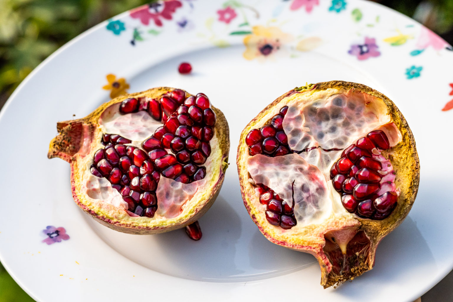 Granatapfel ernten: Mein erster Erfolg nach 3 Jahren