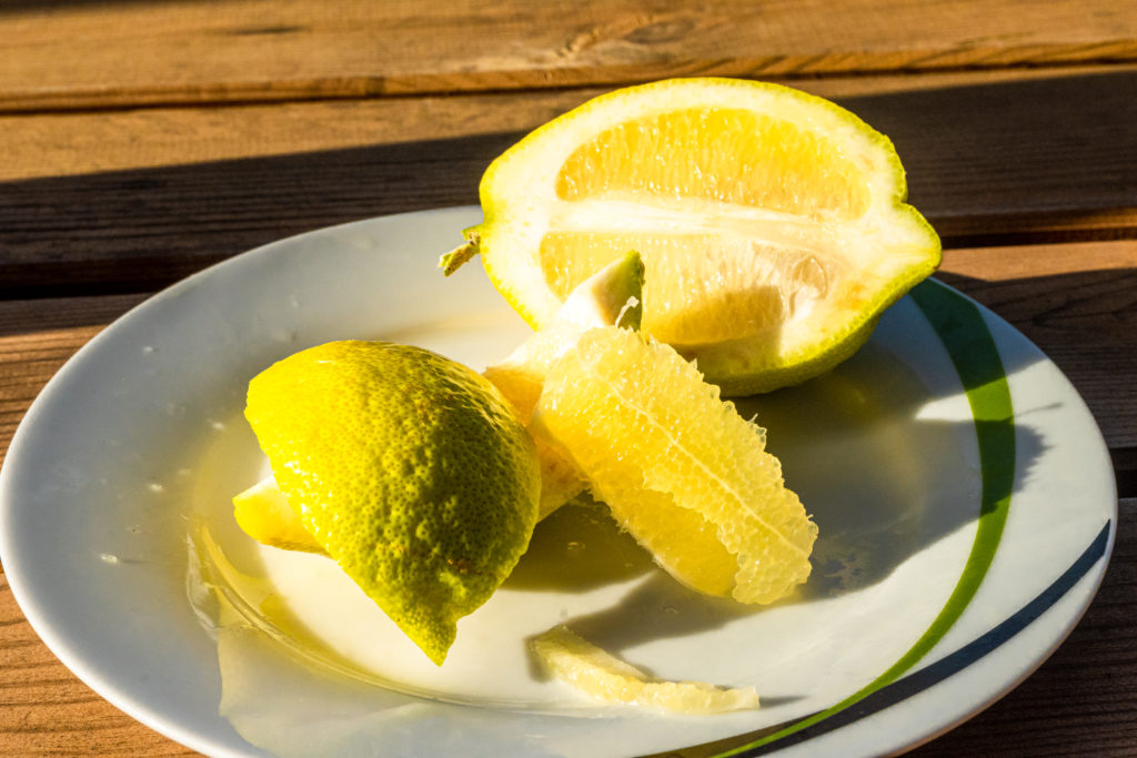 Citrus limon ‚Eureka‘