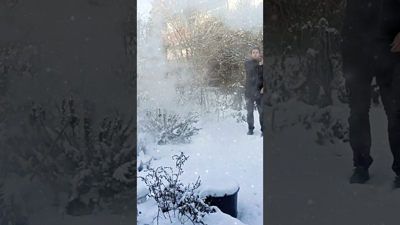 Bei Frost Blumen gießen🌹🌺💐 // Gartenschlau.com
