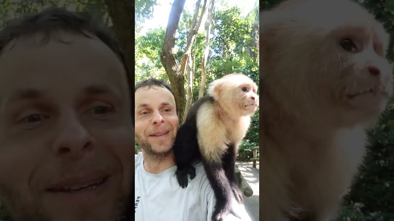 Monkey On My Head 😁