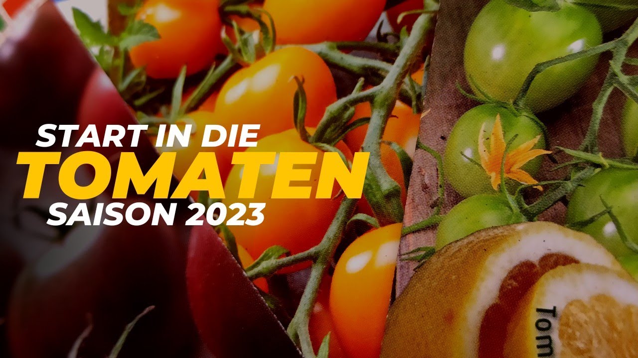 Vorbereitung für die Cherry-Tomaten Saison 2023: Die Aussaat