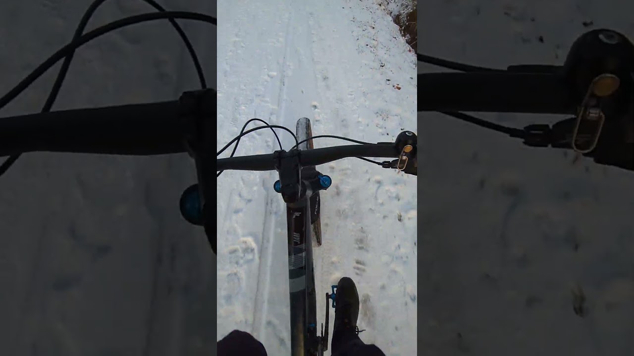Nach Den Zitronen Snow Bike