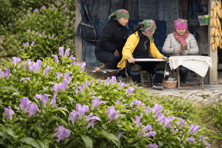 ChatGPT Image 29. Jan. 2026, 09 19