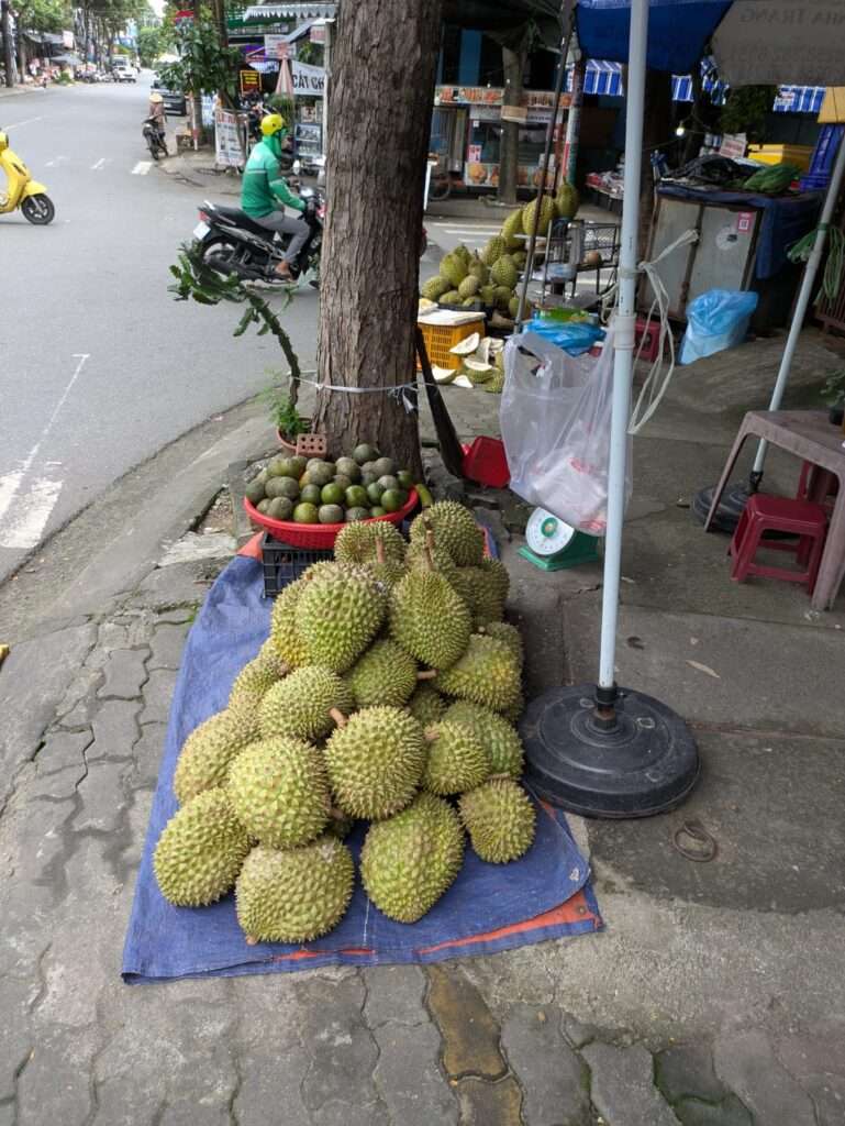 Durian2