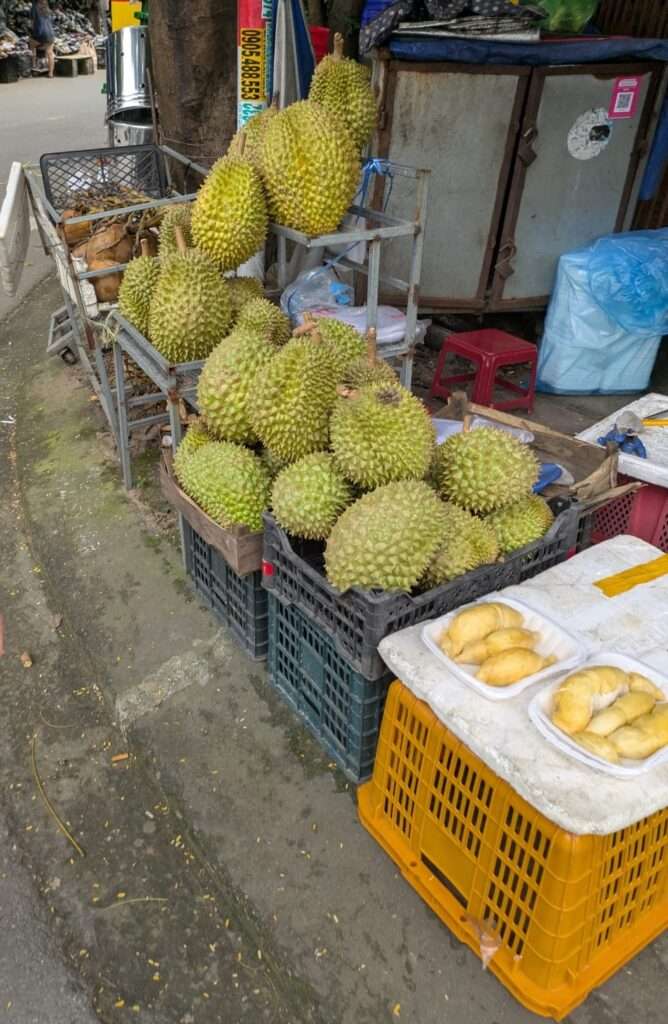 Durian3