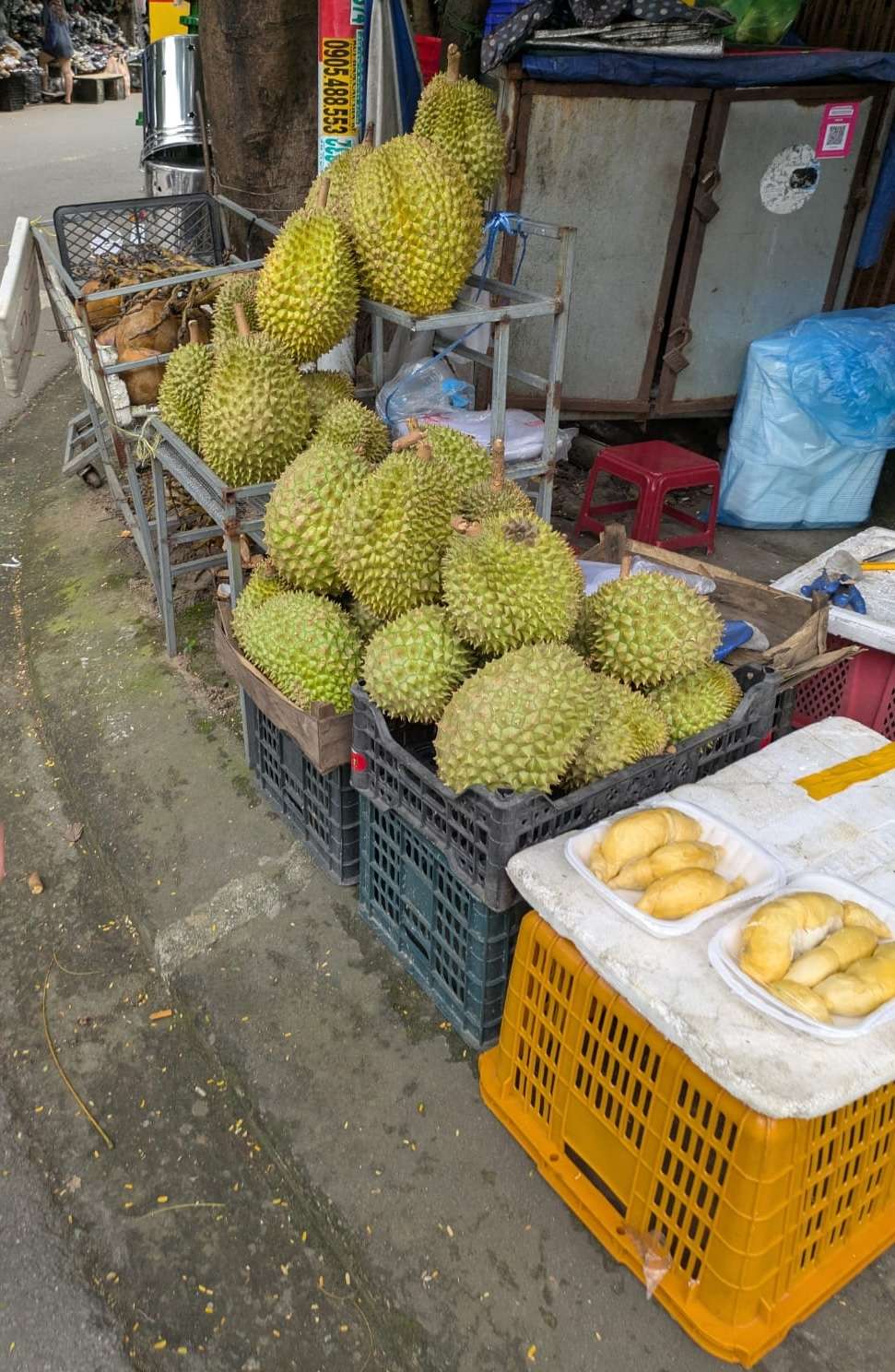 Durian3