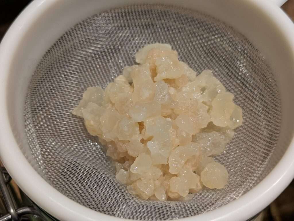 WhatsApp Image 2026 02 19 at 18.57.16 (2)