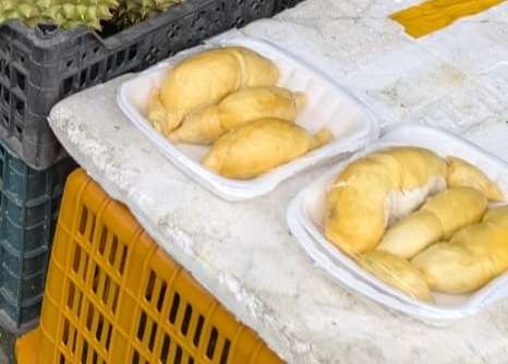 Durian4