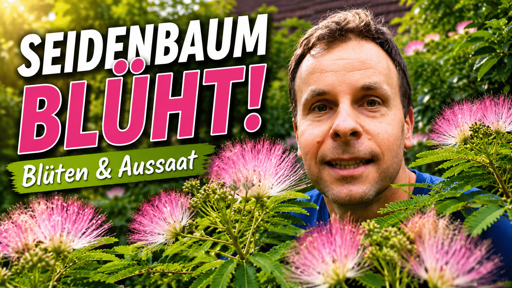 Seidenbaum